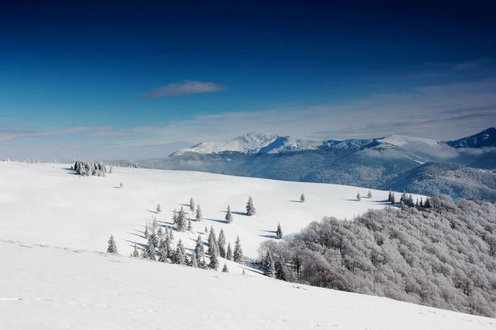 Зимовий похід в Карпати: Свидовецький хребет
