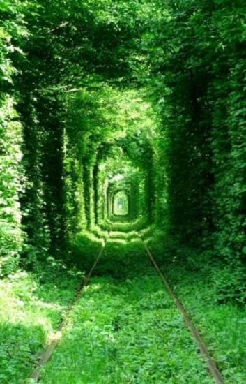 Тунель кохання в Україні