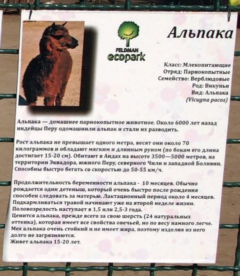 Безкоштовний зоопарк у Харкові