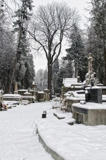 Львів взимку