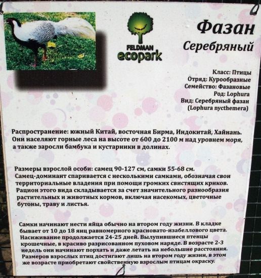 Безкоштовний зоопарк у Харкові