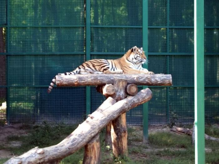 Бесплатный зоопарк в Харькове